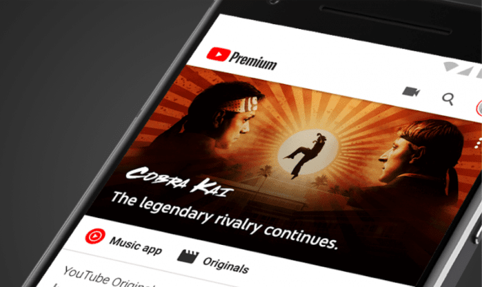 Como descargar videos de YouTube 