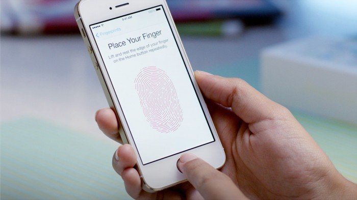 la biometría permite tener la seguridad de que los pagos del servicio de whatsapp